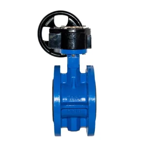 D341X Ductile Iron Flange Butterfly Valve BS Standard Double Flange Butterfly Valve