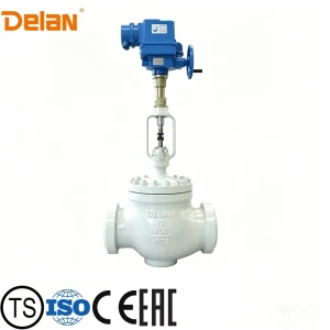 DELAN Balanced Cage Control Valve for Thermal Power Plant