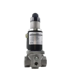 DEVSG Series Gas Solenoid Valve Slow Opening and Fast Closing Structure OEM Customizable