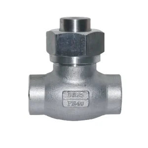 DH61 B Stainless Steel Series Low Temperature Lift Check Valve
