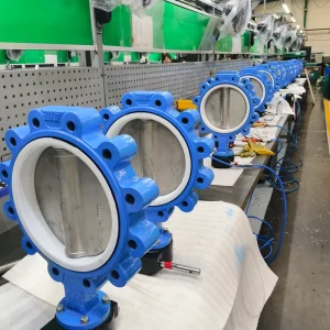 DI SS304 Body Butterfly Valve Lug Type with PTFE EPDM Seal PN10 PN16 DN100 DN250 for Water Treatment
