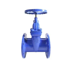 DIN 2” DN50 PN16 Cast Iron Ductile Iron GGG40 Flange Gate Valve EPDM Soft Seal Non Rising Stem Gate Valve