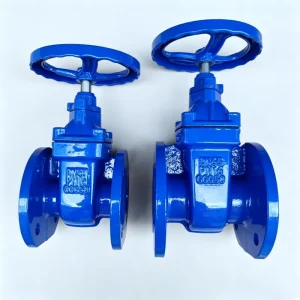 DIN BS ANSI JIK Standard Hard Seal Gate Valve DN100 Copper Core Sealed Non Rising Stem Water Valve PN10 16