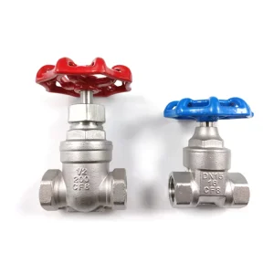 DIN BS DN20 1 2” Stainless Steel Threaded Gate Valve for Water Hydraulic Powered General Application