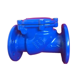 DIN PN16 DN250 10 Inch Water Check Valve Ductile Iron Resilient Sealing Swing Check Valve