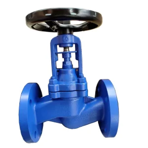 DIN Standard Bellows Seal PTFE Lined DN150 PN16 Cast Iron Globe Valve for Steam