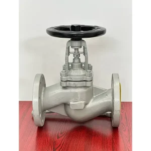 DIN Standard Flange Cast Iron Bellows Globe Valve PN16 PN25 GGG40 GG25 Bellows Seal Globe Valve Manufacturer