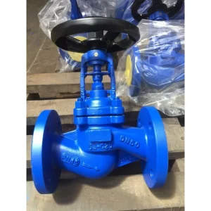 DIN WJ41H 16 Manual Double Stainless Seal WCB Globe Valve for Petrochemical Zero Leakage Bellows Design OEM Customized Support