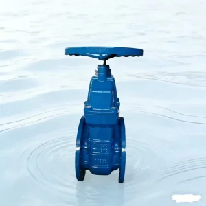 DIN3352 F4 Bronze Sealed Concealed Double Flange Manual Water Gate Valve DN50-DN300 with Stable Performance