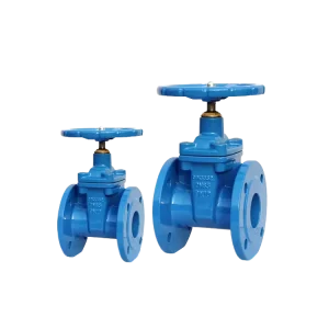 DIN3352 F4 Rising Stem Gate Valve DN50 PN16 Ductile Iron EPDM Seated Water Valve for Municipal Water Supply System