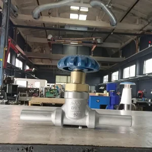 DJ15AP DN15 Medium Temperature LNG LO2 Cryogenic Manual Shutoff Valve for Gas Cylinder Tank