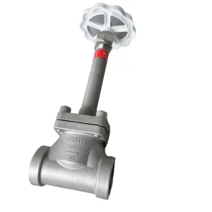 DJ61F40P DN50 Manual Cryogenic Shut off Globe Valve for Gas (LNG LO2 LN2 LAr CO2) Bulk Storage Tank