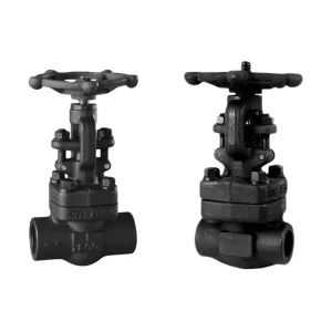 DKV 800Lb A105 Globe Valve WCB Forged Steel Globe Valve API Class 800 Threaded Welded End SW Socket Welded Globe Valve