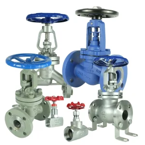 DKV Carbon Stainless Steel 304 316 Flanged Globe Valve Cast Forged Steel Handwheel Manual Bellow Seal Globe Valve Manufacture