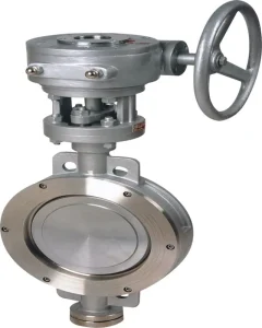 DN0-DN1500 Double Flange Ss304 Body Water Butterfly Valve With Worm Gear