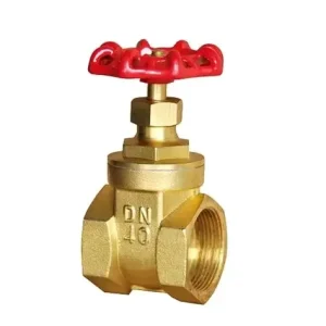 DN10 100 PN16 Threaded End Brass Worm Gear Gate Valve for Plumbing Industrial Use