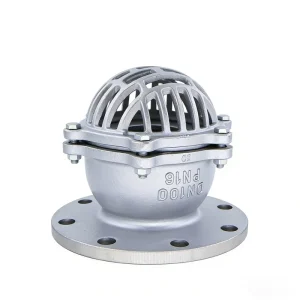 DN100 PN16 Flanged Stainless Steel Foot Valve Water Pump Check Valve for Suction Pipeline Backflow Prevention