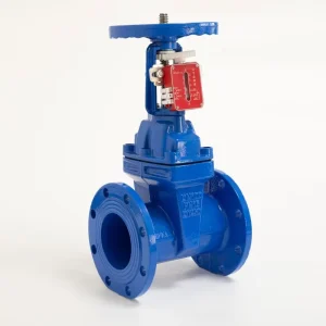 DN100 PN16 GGG50 Cast Iron Ductile Iron High Quality Rising Stem Knife Flange Resilient Gate Valve for Water