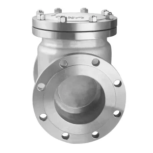 DN100 Standard Stainless Steel Medium Pressure Water Oil Flow Industrial Pipe Flanged Swing Check Valve