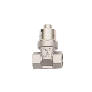 DN15-25 High Quality Gate Valve 304 Stainless Steel Wire Lock Thickened Valve Body Durable Gate Valve