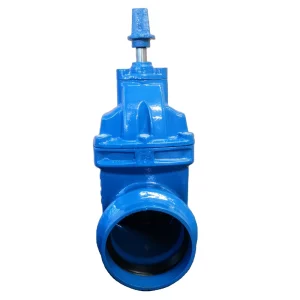 DN15 DN100 Manual Elastic Gate Valve ANSI JIS Ductile Iron Gate Valve Thread End Resilient Seat Gate Valve