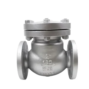DN15 DN300 Stainless Steel Flange Swing Check Valve Used for Water