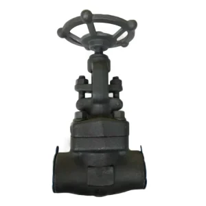 DN15 DN50 A105 CL800 Female Threaded and Socket Welded Forged Gate Valve