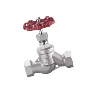 DN15 DN80 Stainless Steel 304 Low Pressure Hydraulic Water Pipe Control Screw End S Type Globe Valve