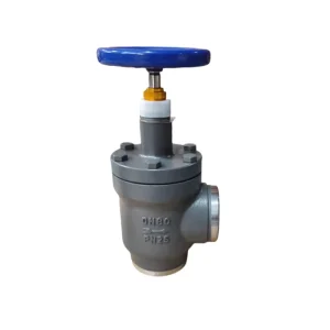 DN15 DN80 Straight Angle Cast Steel Stop Check Valve 1 Year Warranty for Industrial Ammonia Refrigeration Systems