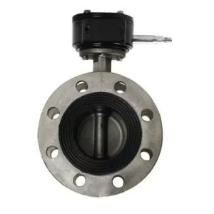 DN150 6-inch EPDM Rubber Lever Operated Manual Double Flanged Butterfly Valve for Water SS304 Model