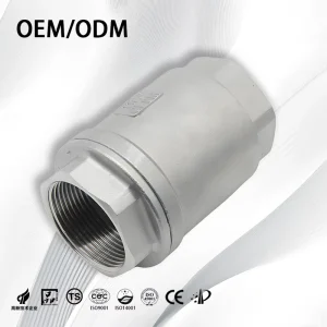 DN20 3 4 Inch 2 PC NPT Threaded 316 Stainless Steel MM Type Spring Vertical Check Valve for Water Control and Industrial Use