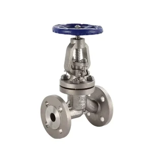 DN20 3/4 Inch Durable Control Air Globe Shut-off Check Valves