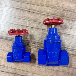 DN20 DN25 DN32 DN50 Ductile Iron Threaded Soft Seal Gate Valve