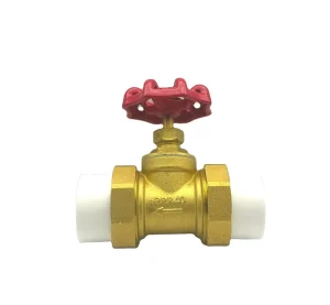 DN20 PPR Manual Stop Valve with Brass Core Globe Style for Cold & Hot Water Piping