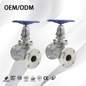 DN200 Customizable Stainless Steel Manual Globe Shutoff Valve Water Pressure Regulator and Water Stop Valve for OEM
