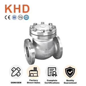 DN25 100 Auto Type Casting Flanged Non Return Check Valve 2in 304 Stainless Steel