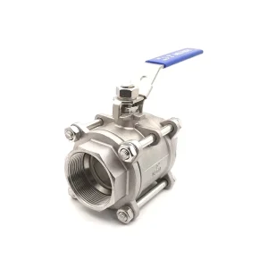 DN25 Medium Temperature Stainless Steel Ball Valve 3 Piece Body OEM 1000PSI Optional BSPT NPT DIN2999 Threaded End