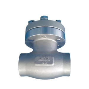 DN25 PN40 Low Temperature CF3M CF8M Forged Steel Cast Steel Cryogenic Socket Weld Flanged Check Valve