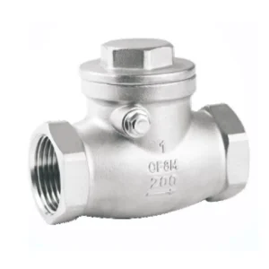 DN25 Stainless Steel 304 PN16 Non Return Thread End Swing Check Valve