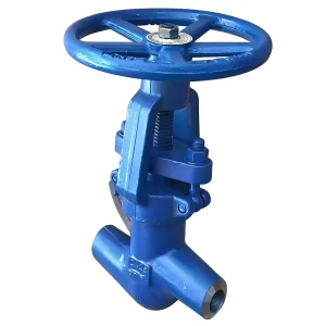 DN300 Class 800 Angle Wide Open PTFE-lined Manual High Temperature Stop Power-station Globe Valve Positioner