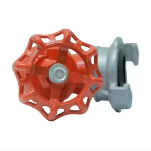 DN32 Threaded Soft Sealing Gate Valve Z15X Ductile Iron Water Valve 16bar for Plumbing Fire Protection Systems