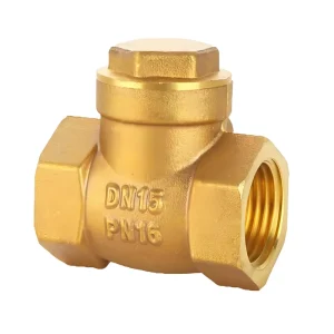 DN40 Brass Horizontal Female Thread Check Valve OEM Custom for Water Supply System