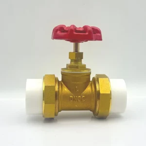 DN40 Hot Melt PPR Stop Globe Valve Brass Internal Core Valve for Water Pipeline Plumbing Fittings