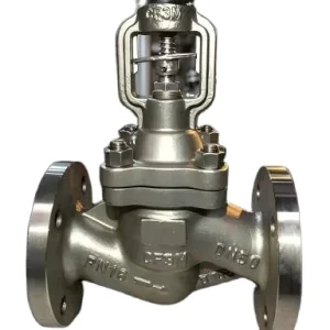 DN40 Socket Weld Extended Stem High Temperature Globe Valve 304 Stainless Steel Heat Resistant Valve For Steam Pipeline