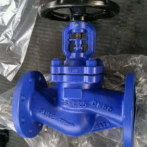 DN40 Socket Weld Globe Valve 316 Stainless Steel Extended Stem Anti Corrosion Heat Resistant Industrial Valve with high quality