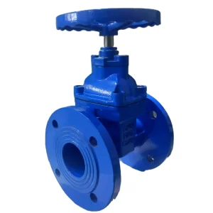 DN50 2 Inch Manual Ductile Cast Iron WCB Gate Valve Flange Connection ISO9001 CE Certified Z45X-16Q 1 Year Warranty Medium