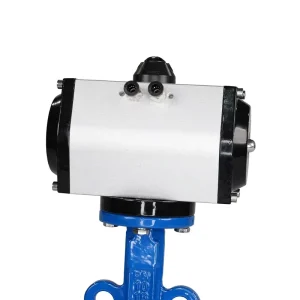 DN50 2 Inch PN16 EPDM Rubber Seat Wafer Type Cast Iron Double Acting Pneumatic Actuator Butterfly Valve