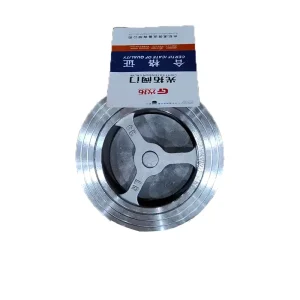 DN50 2 in Stainless Steel Wafer Check Valve