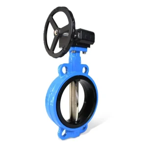 DN50 2-inch EPDM Rubber Ductile Iron Lever Manual Water Butterfly Valve