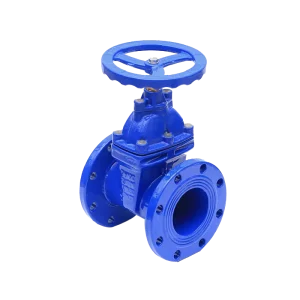 DN50-200 Rubber Coated Ductile Iron Gate Valve Flange Connection Cast Iron BS5163 Gate Valve
